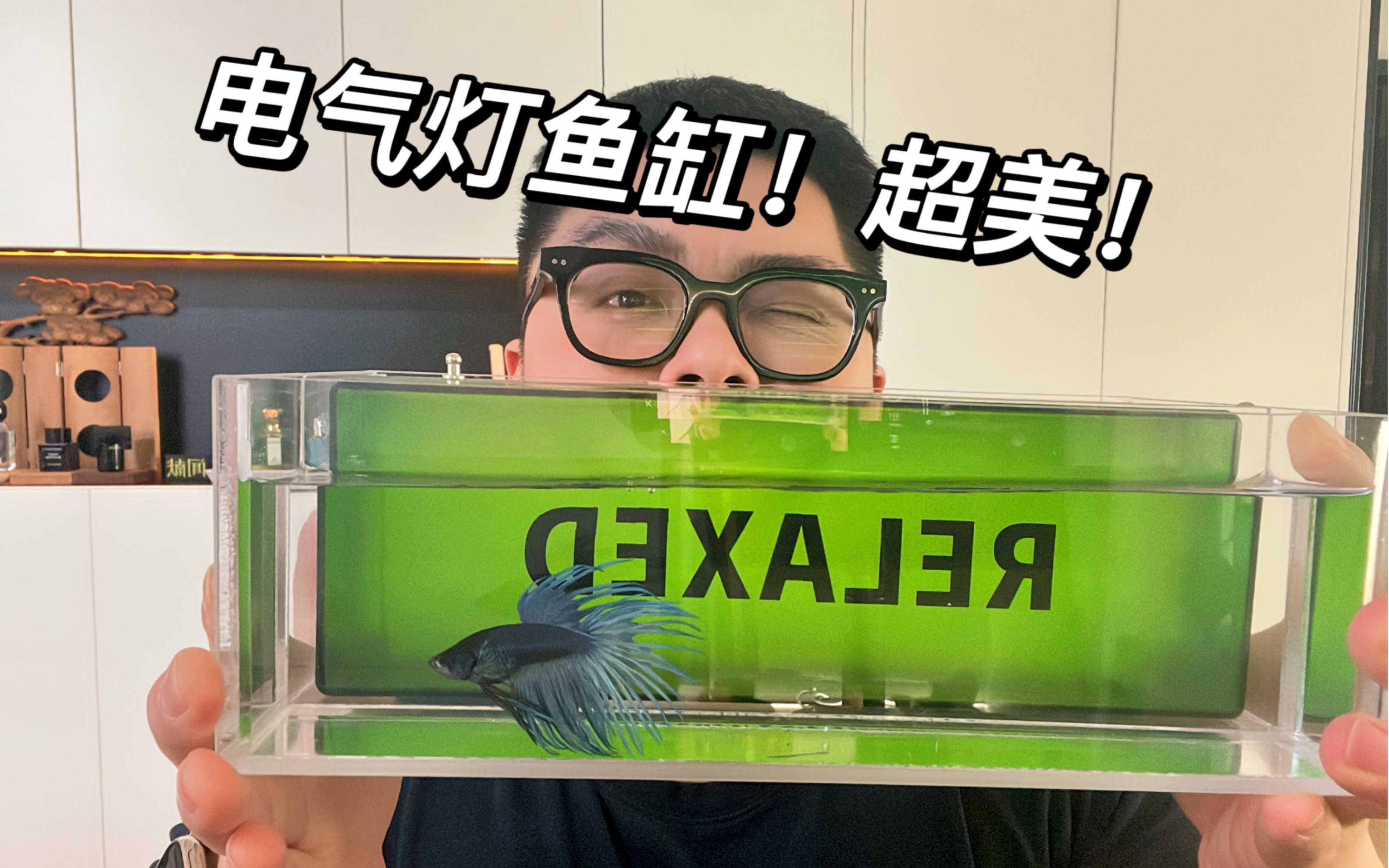 美呆啦!diy电气灯鱼缸(附尺寸图)