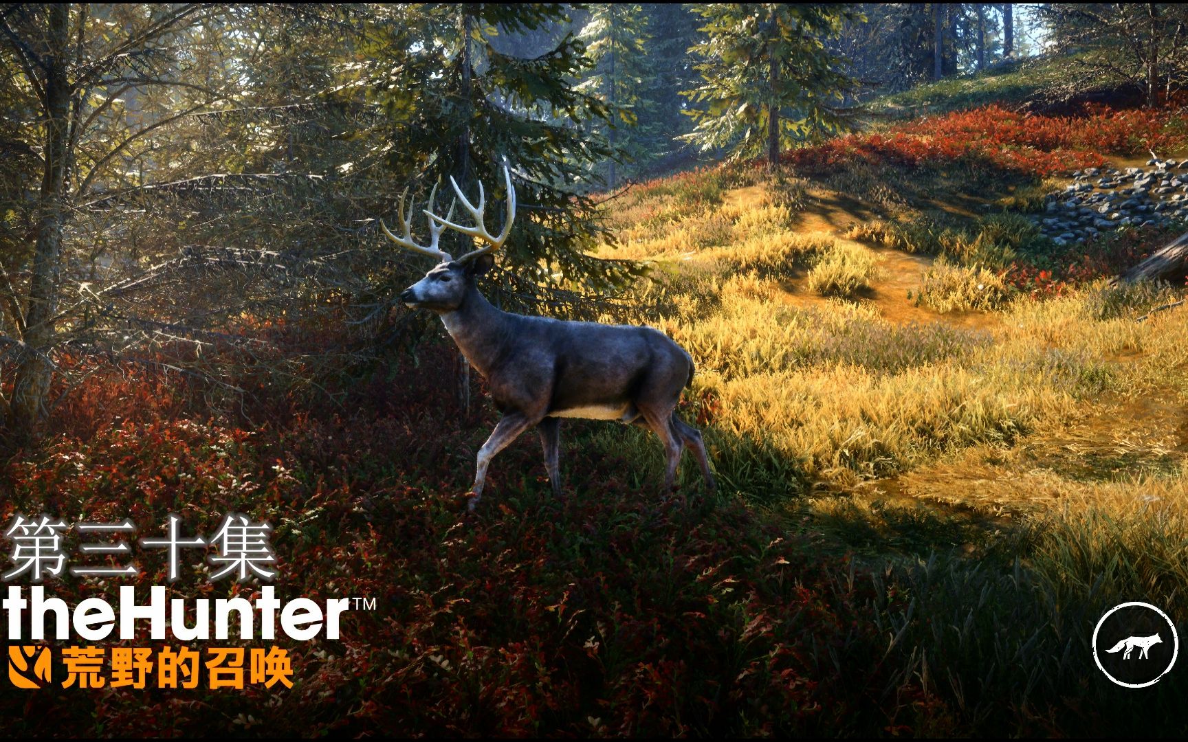 猎人荒野的召唤开房间画质补丁30