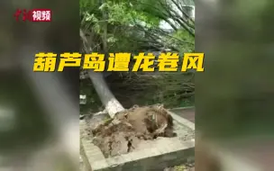 Скачать видео: 葫芦岛遭龙卷风 大树被连根拔起