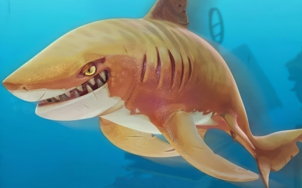 饥饿鲨世界虎鲨图片