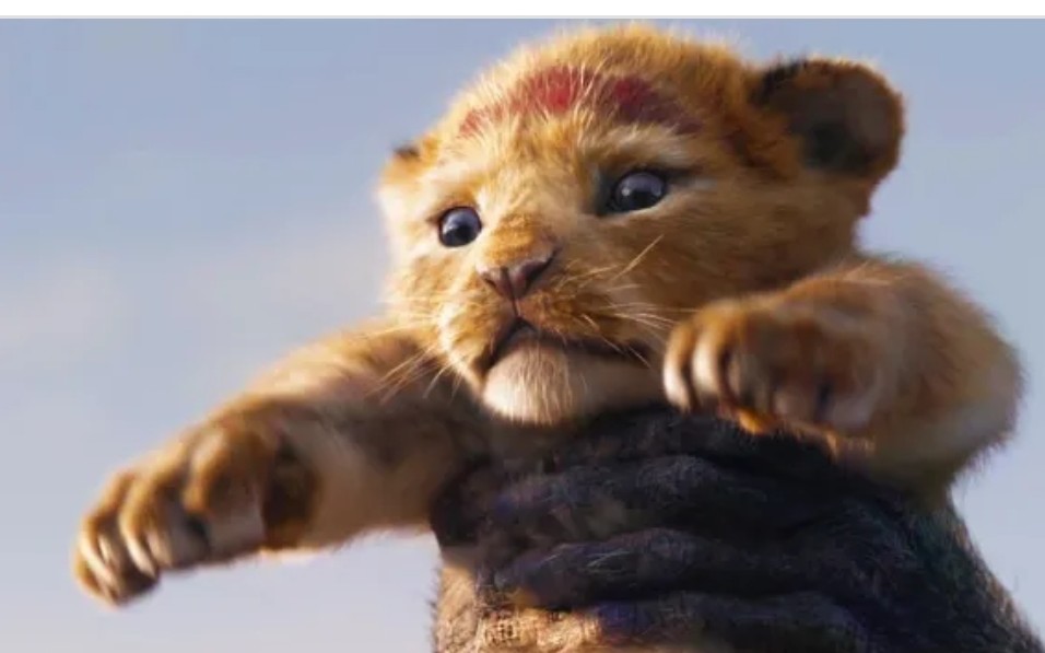 真人版《狮子王》先导中字预告释出!