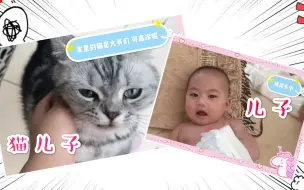 Download Video: 挑战！如何一边照顾3只猫，一边照顾5个月的宝宝