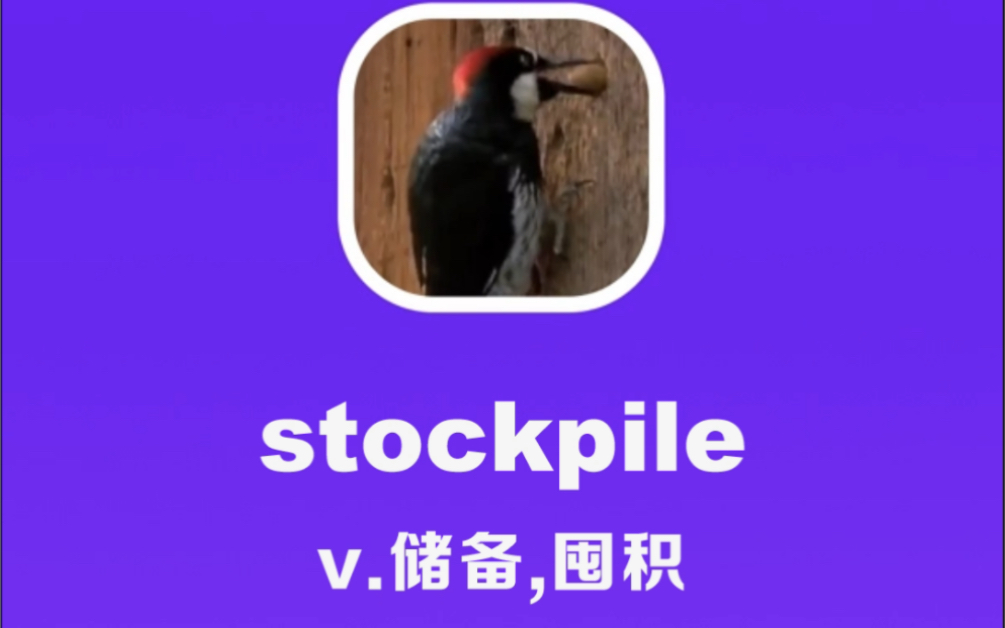 stockpile:储备,囤积哔哩哔哩bilibili