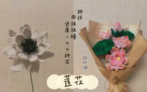 Tải video: 扭扭棒教程‖029 莲花/荷花出淤泥而不染，濯清涟而不妖