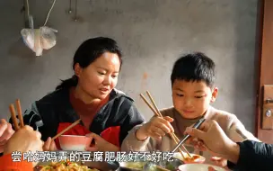 Скачать видео: 阿波和老爸去买鱼苗，燕子在家做一道豆腐肥肠，鲜辣入味，真下饭