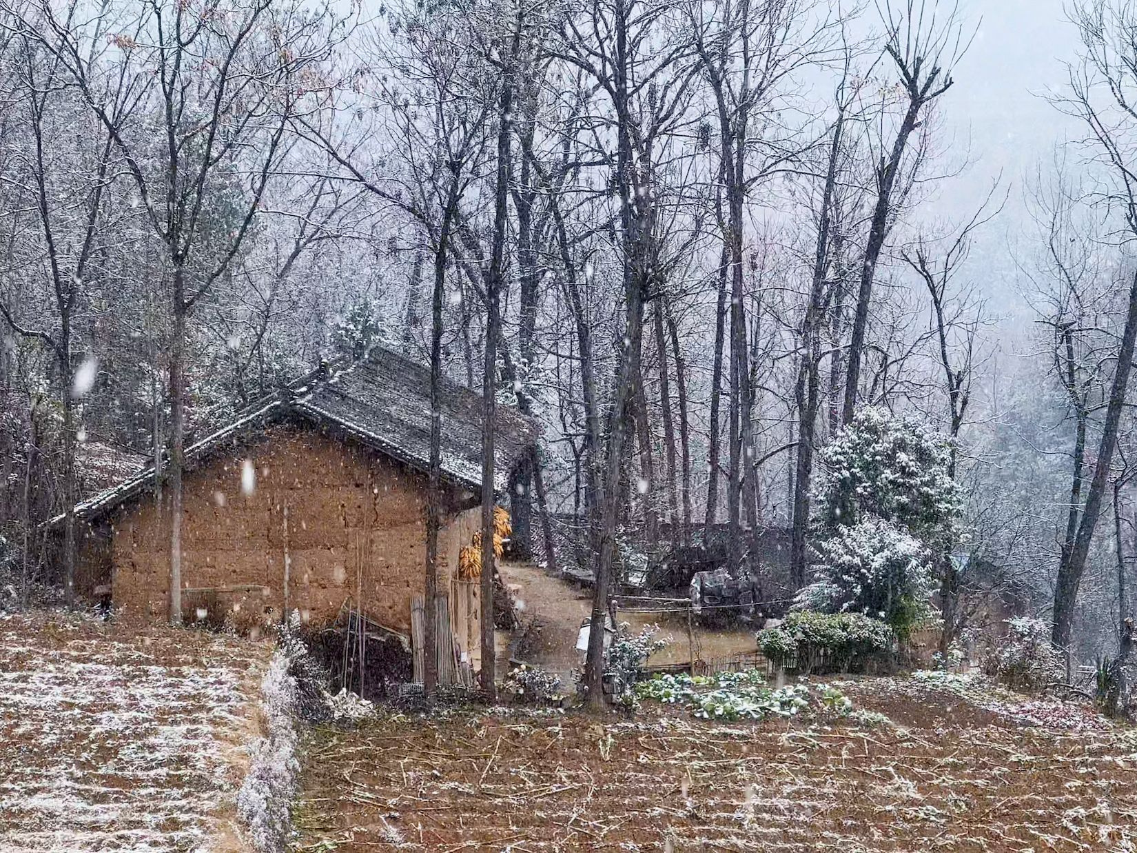 [图]秦岭南麓小山村，来时山有雪，归去尽白头