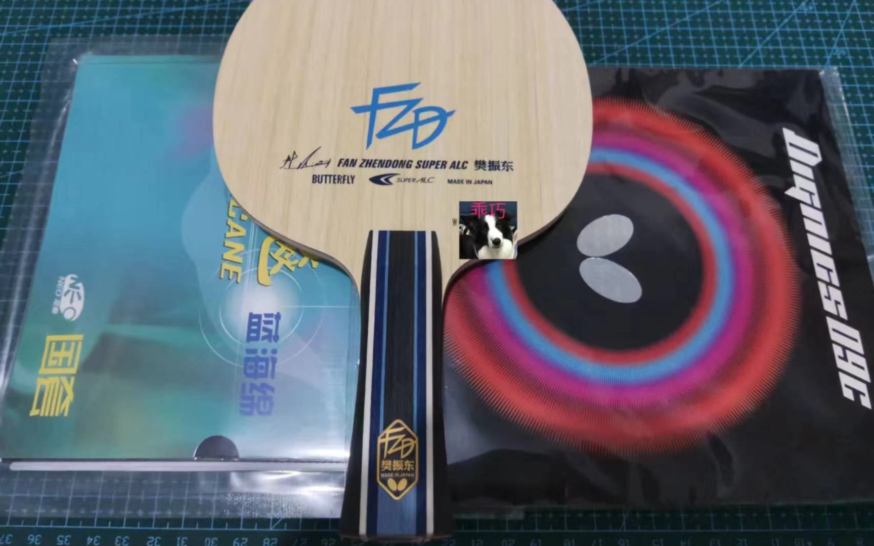 樊振东salc贴拍记录