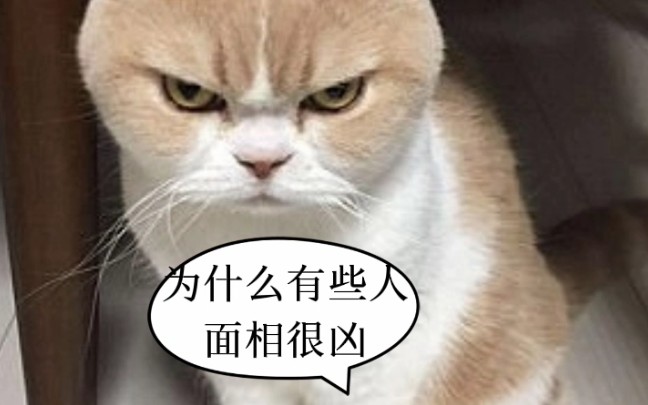 为什么有些人面相那么凶,这里能知道答案