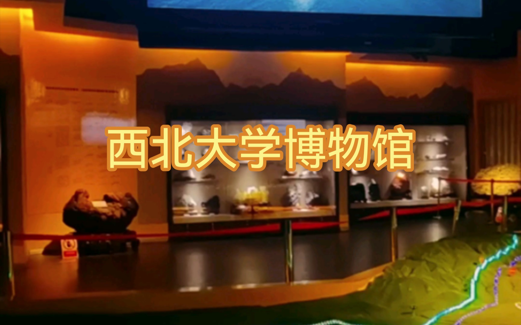 西北大学博物馆