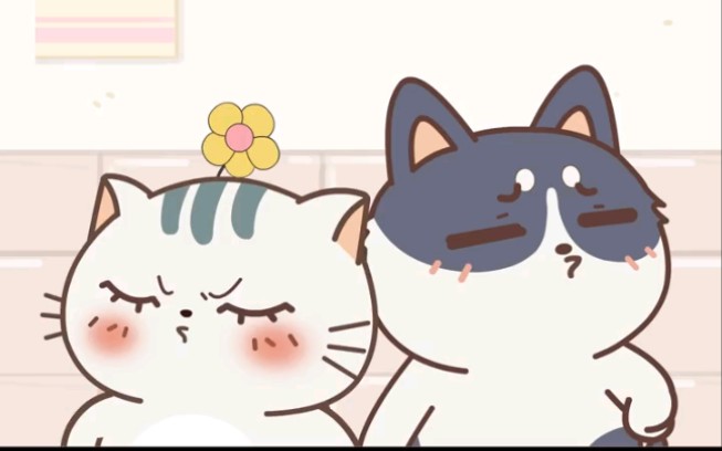 小贱猫土豆君如果你爱我就请放手