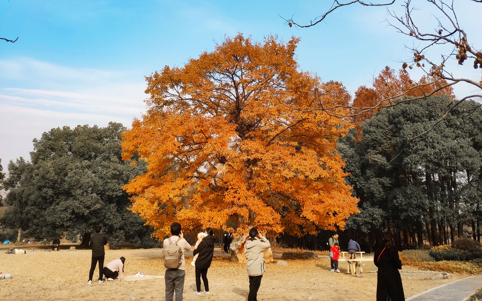 [图]最美的季节，一句最美的话勉励自己