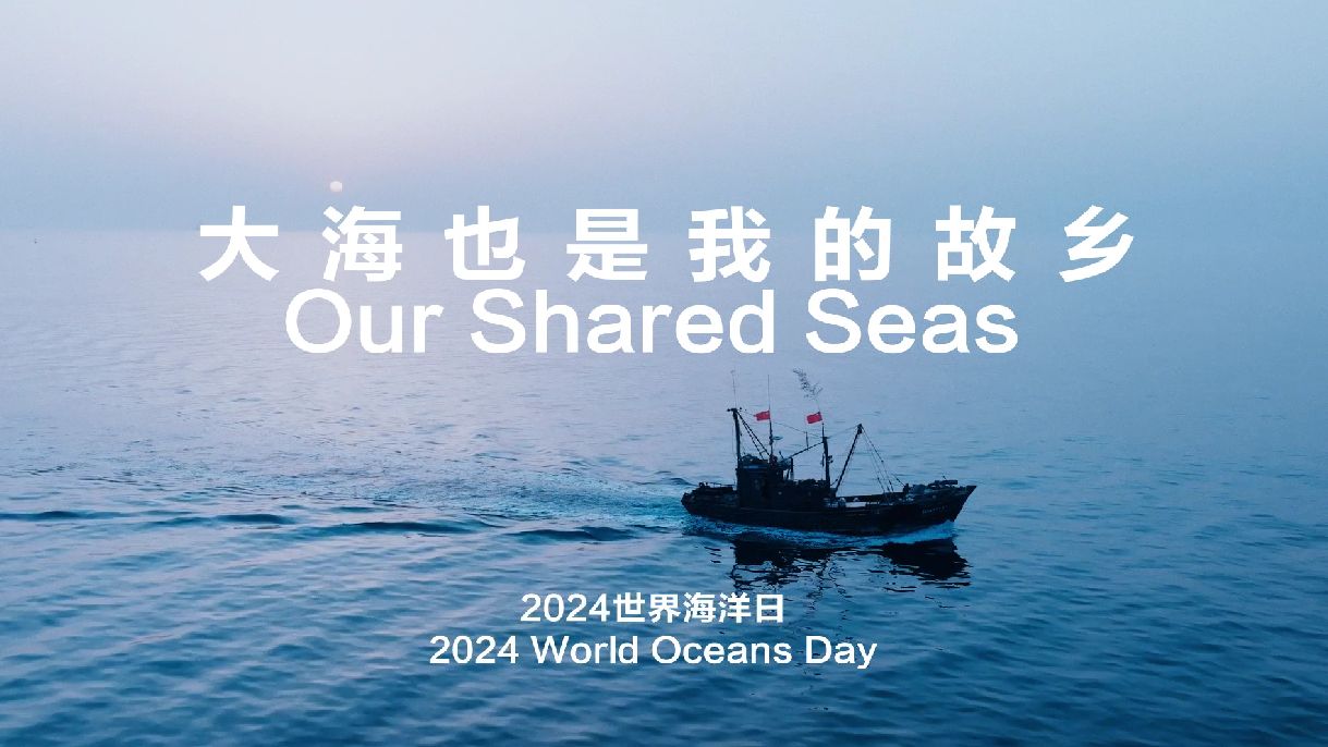 2024世界海洋日 | 《大海也是我的故乡》纪录片上线哔哩哔哩bilibili