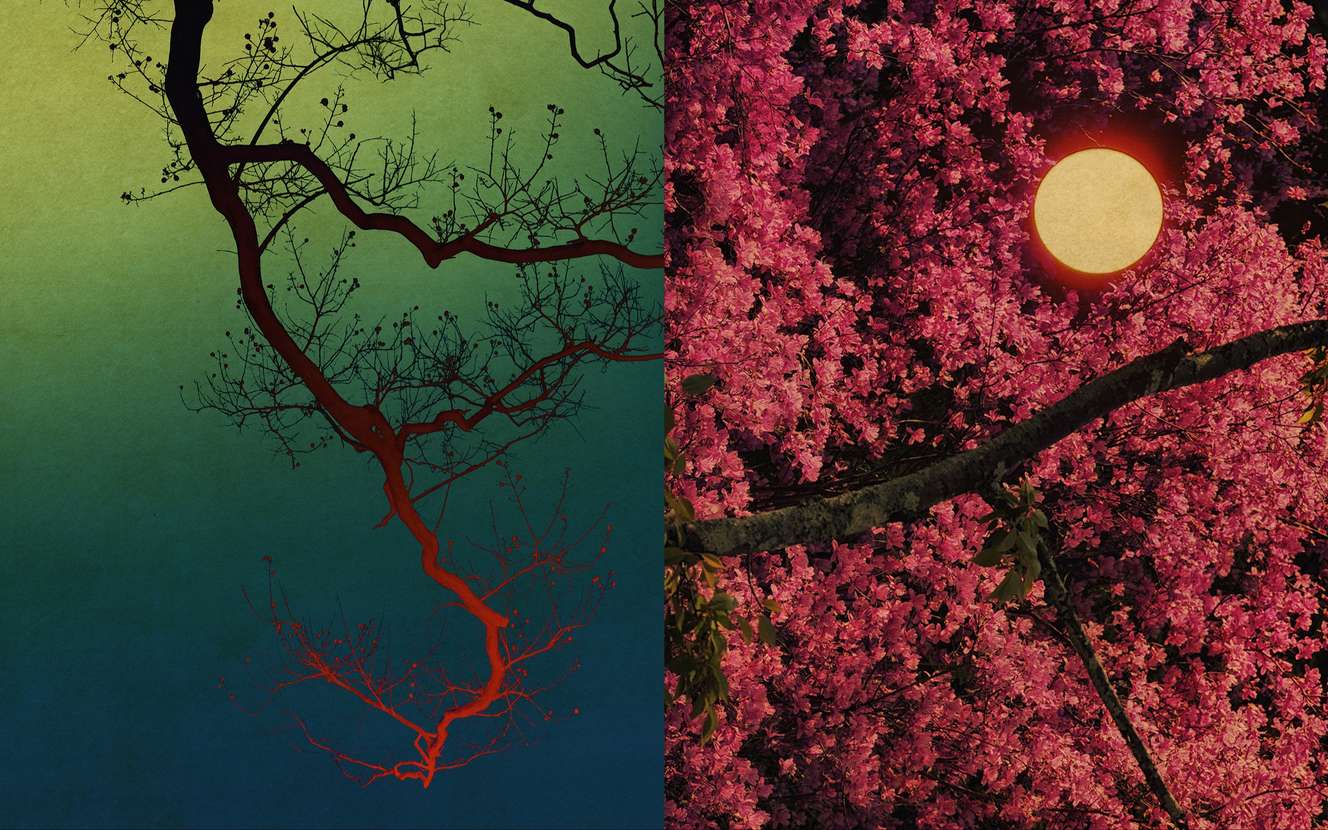 【审美与灵感】浮世绘般的画意摄影,带着东方哲学气质,摄影师albarran