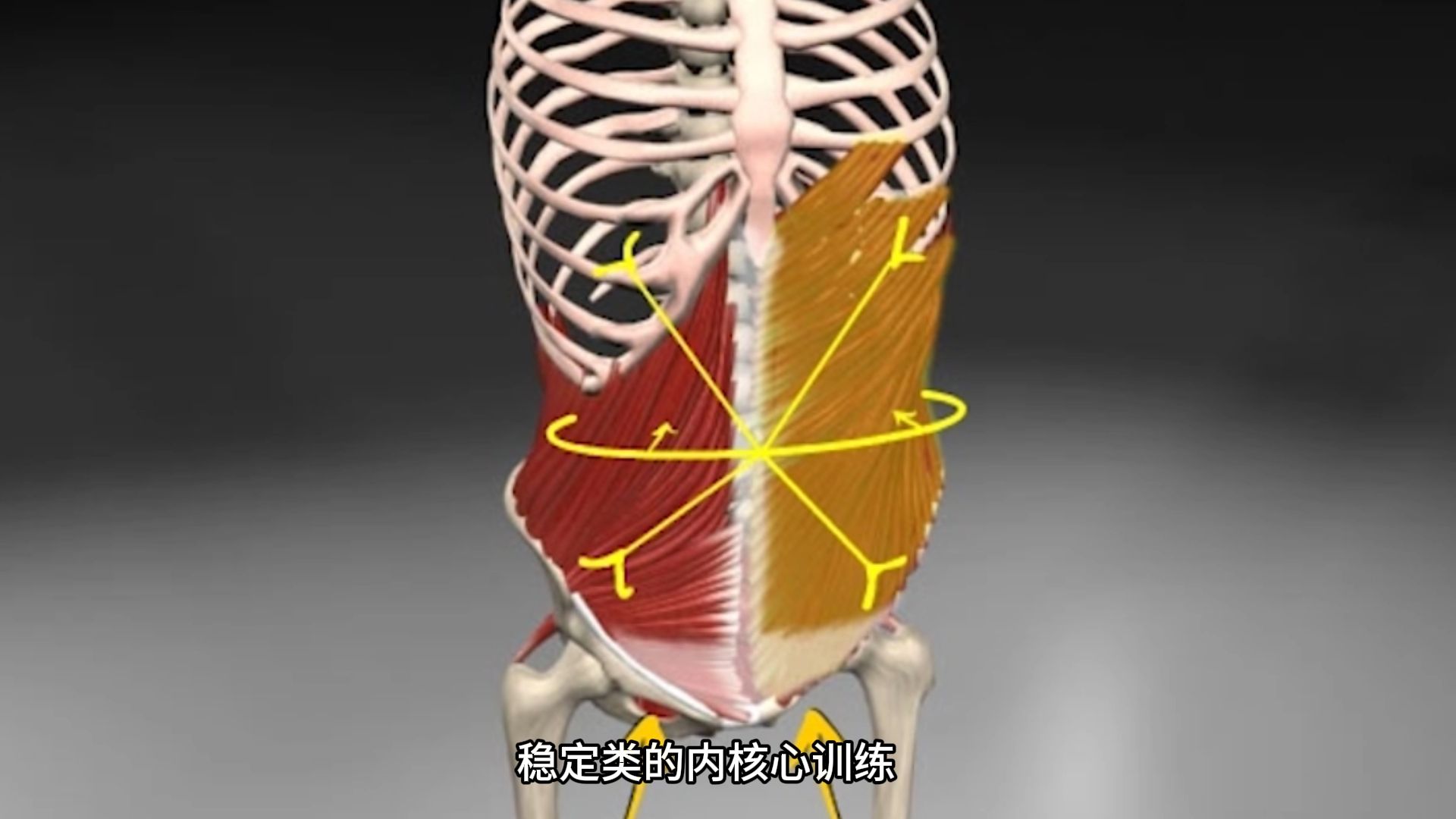 什么是核心如何全面训练哔哩哔哩bilibili