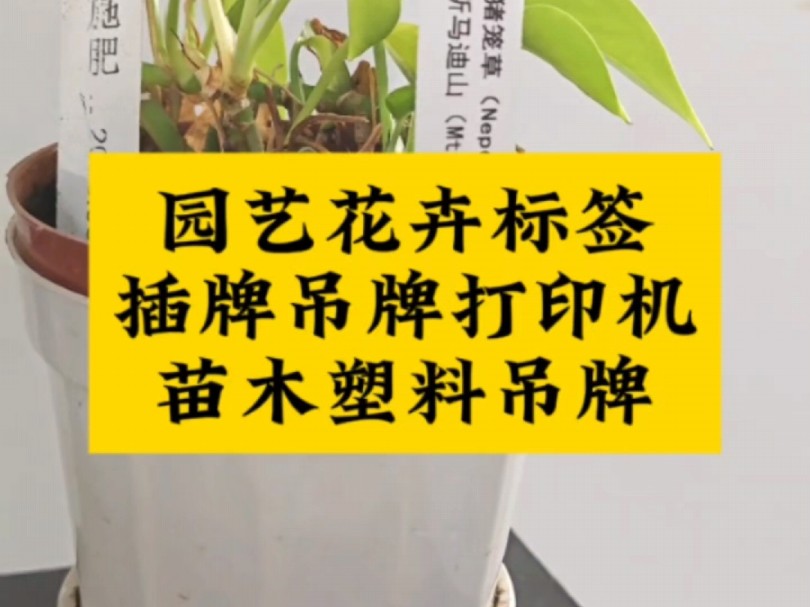 插牌园艺花卉标签打印机,苗木塑料吊牌,打印清晰,可以定制各种尺寸各种颜色各种内容 #园艺标签吊牌打印机 #植物标签 #园艺插牌 #塑料插牌 #花卉植物...