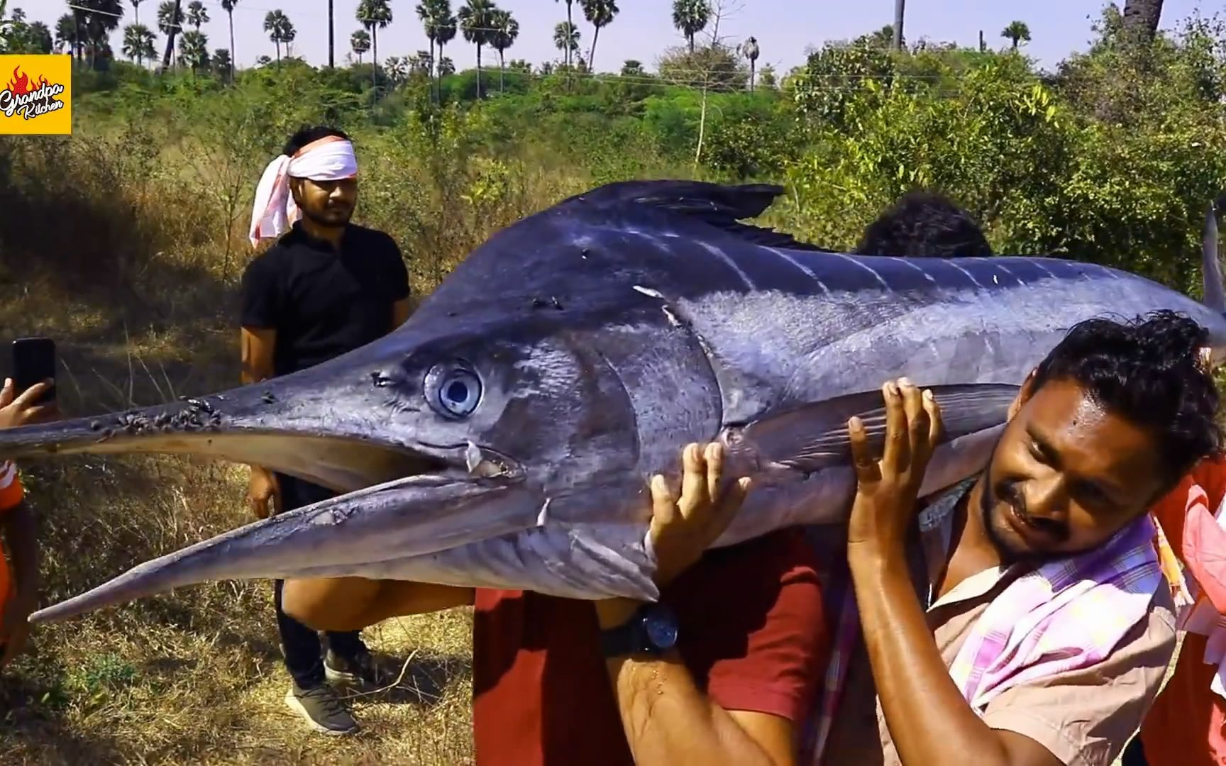 爷爷厨房-100公斤怪物黑马林鱼食谱巨型马林鱼清洗和切割