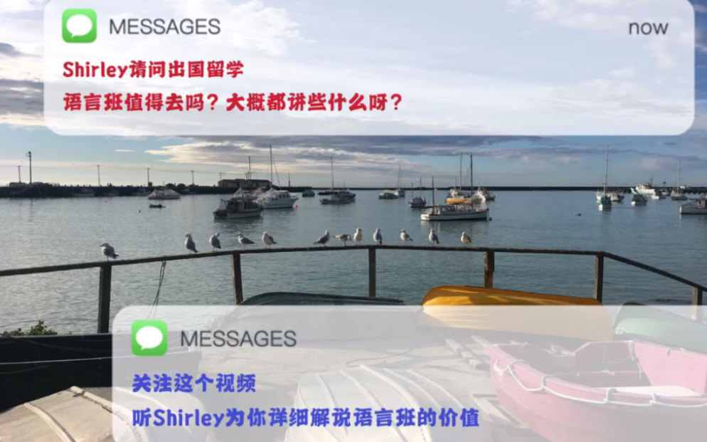 Shirley详述出国留学语言班值得不值得读?语言班讲什么?我有什么收获?哔哩哔哩bilibili