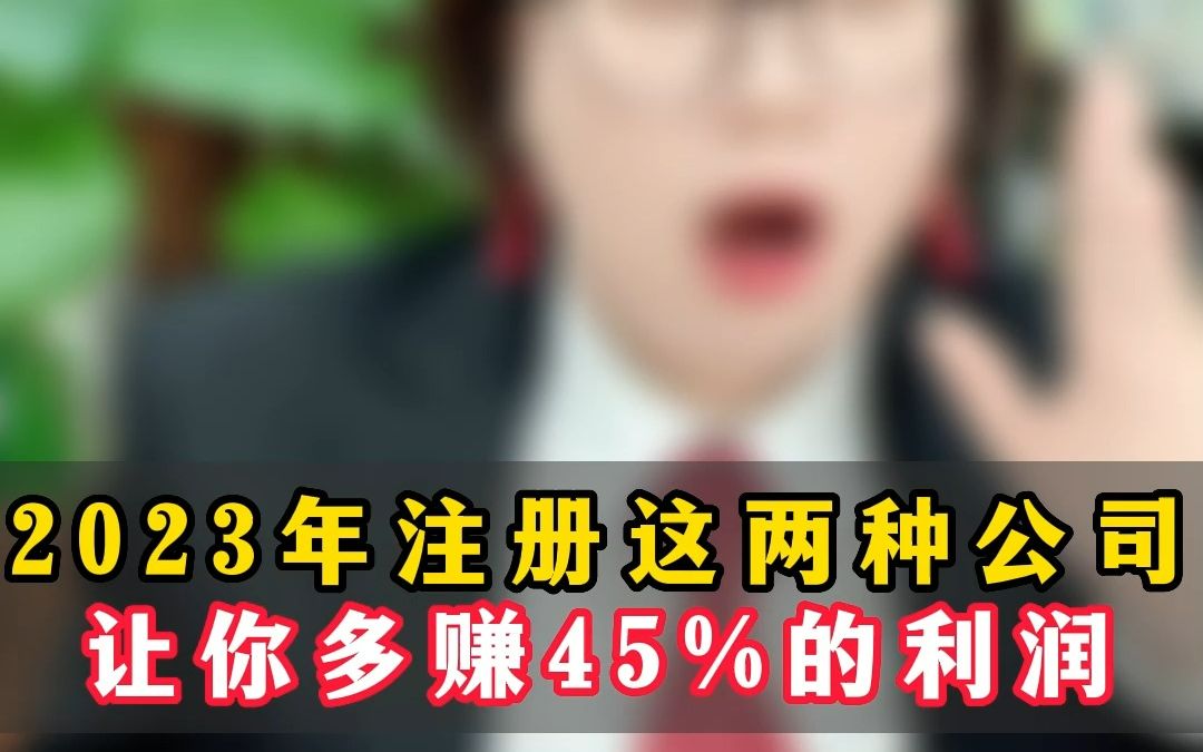 2023年注册这两种公司,让你多赚45%的利润哔哩哔哩bilibili