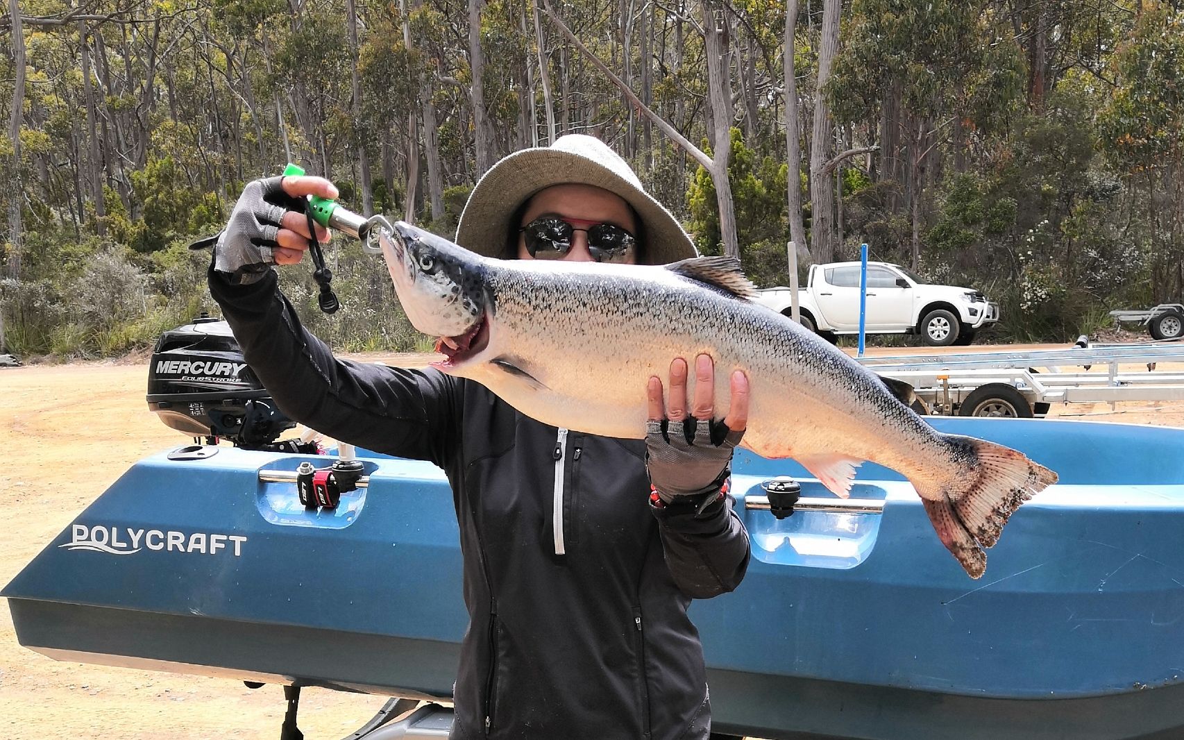 终于钓上了 - 十斤大西洋三文鱼