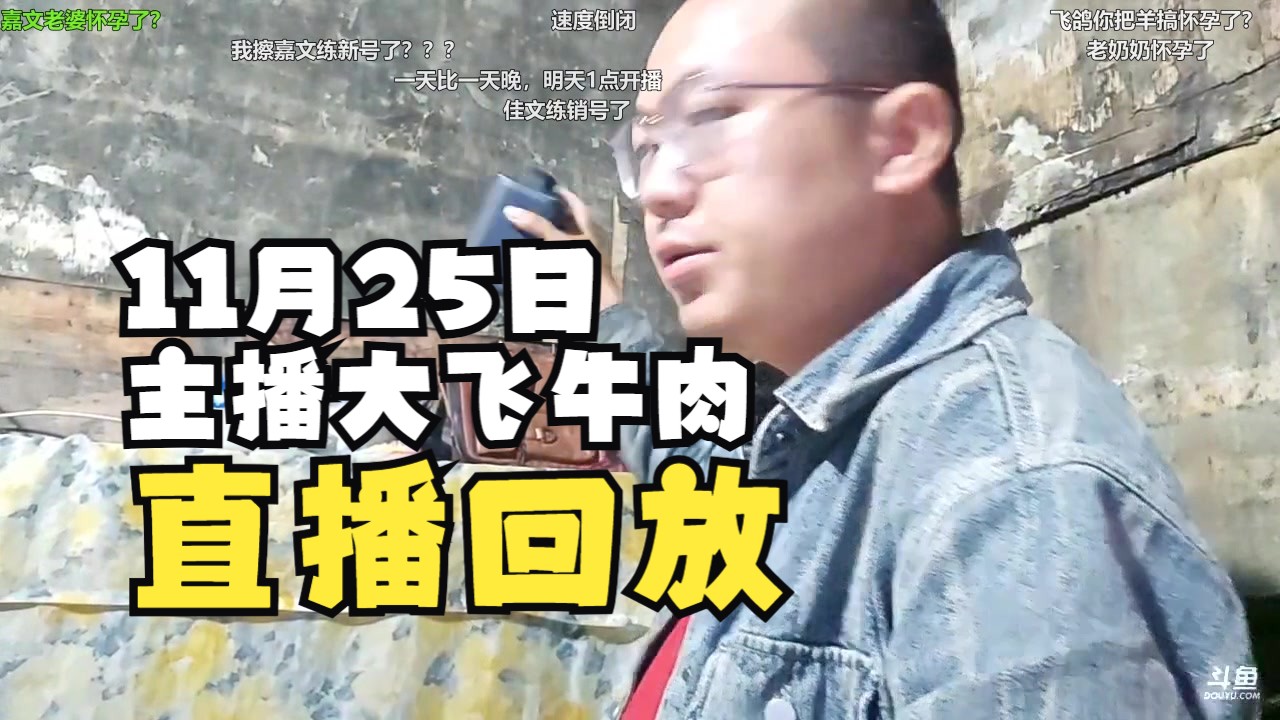 [主播大飞牛肉/直播回放] 海外岛国斯里兰卡纪实直播 2024年11月25日 (带弹幕版)哔哩哔哩bilibili