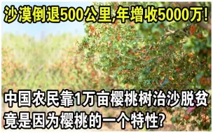 Download Video: 毛乌素沙漠倒退500公里，年增收5000万！中国农民靠10000亩“樱桃树”治沙脱贫