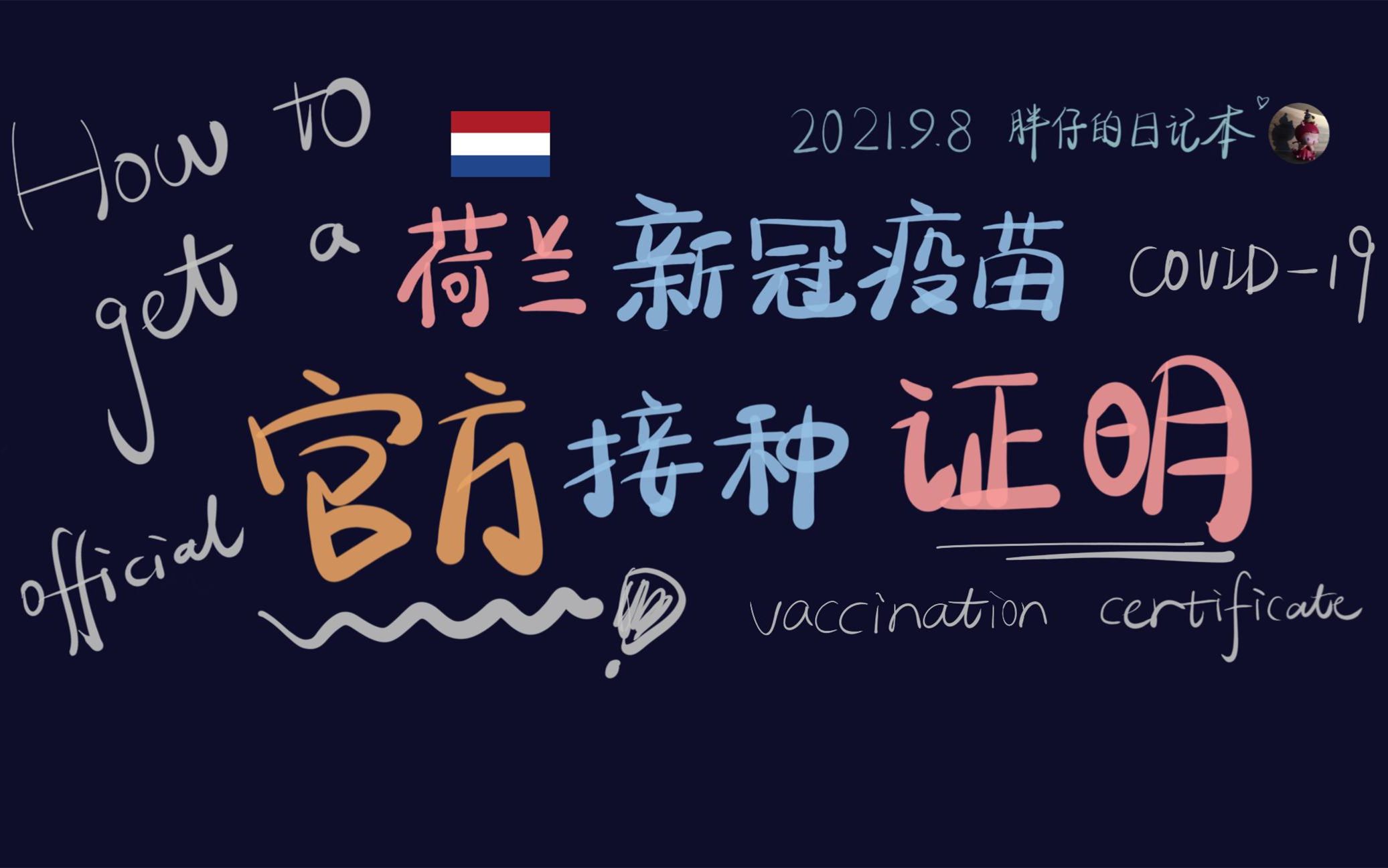 攻略8如何获取荷兰官方新冠疫苗接种证明 | 健康码 CoronaCheck | 胖仔的荷兰日记20210908哔哩哔哩bilibili