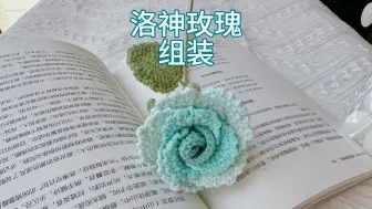 Tải video: 洛神玫瑰新手简易版视频教程4