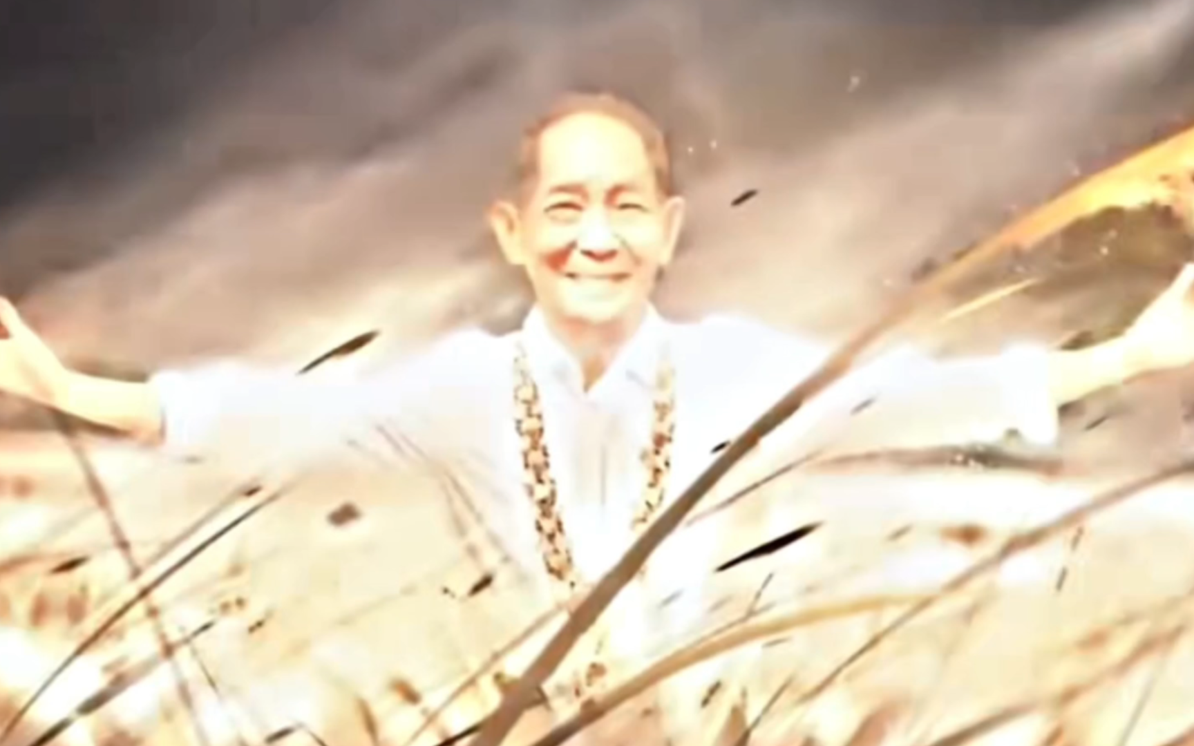 "禾下乘凉梦,一梦追一生!