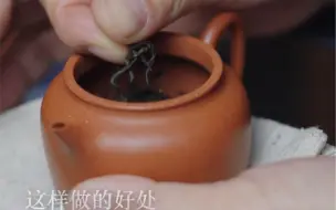 下载视频: 紫砂茶壶，三分靠泡七分靠养