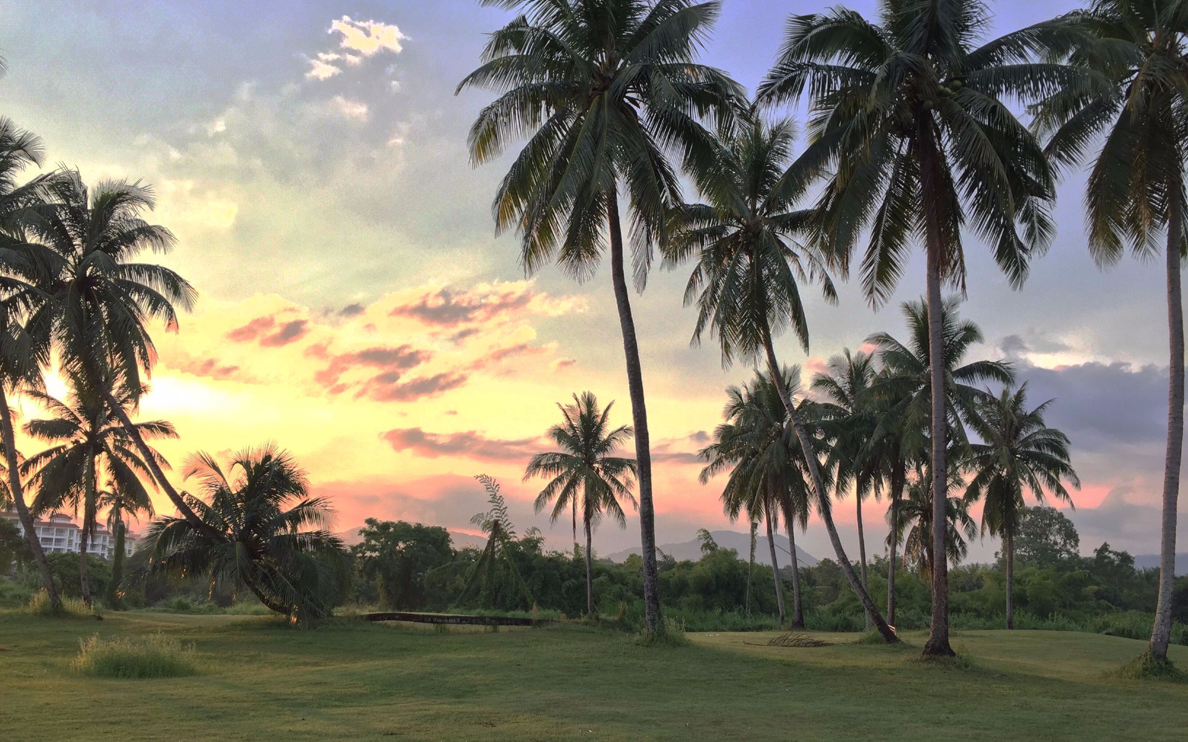 盘点中国冬季圣地"海南",全是世界之最,外国人都羡慕不已