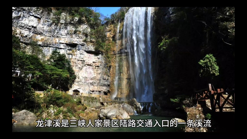 截至2018年12月,三峡人家景区及周边现有植物6088种.