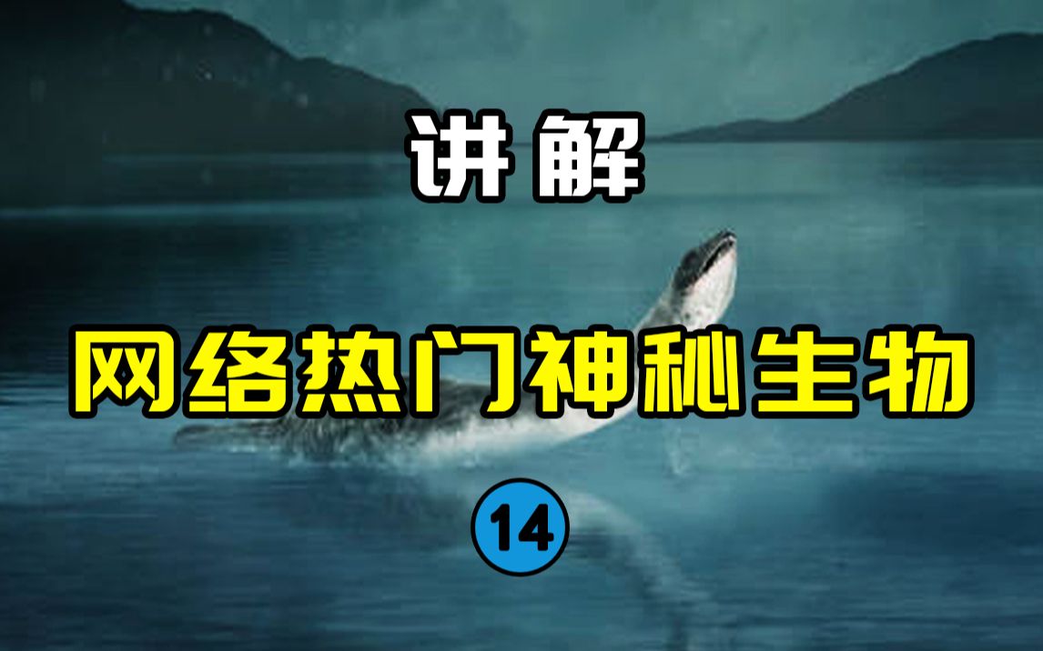 [图]【网络热门神秘生物14】美国版的尼斯湖水怪！？流传上百年的“冠军湖怪”是啥东西？