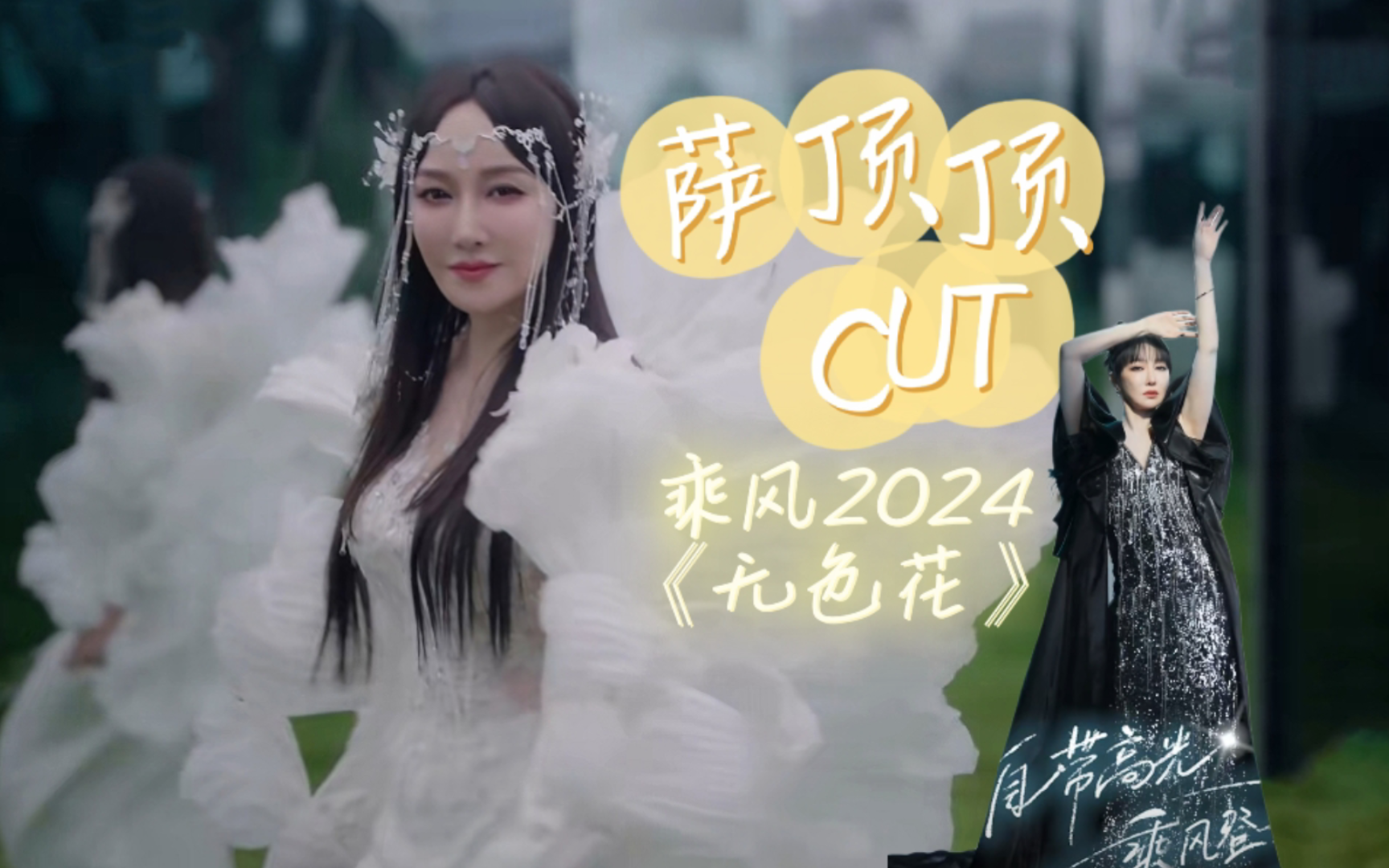 【萨顶顶】单人CUT 之【乘风2024】主题曲《无色花》|是时候迎接新的自己,做自己的女王,整装待发,去乘风破浪吧顶顶!哔哩哔哩bilibili