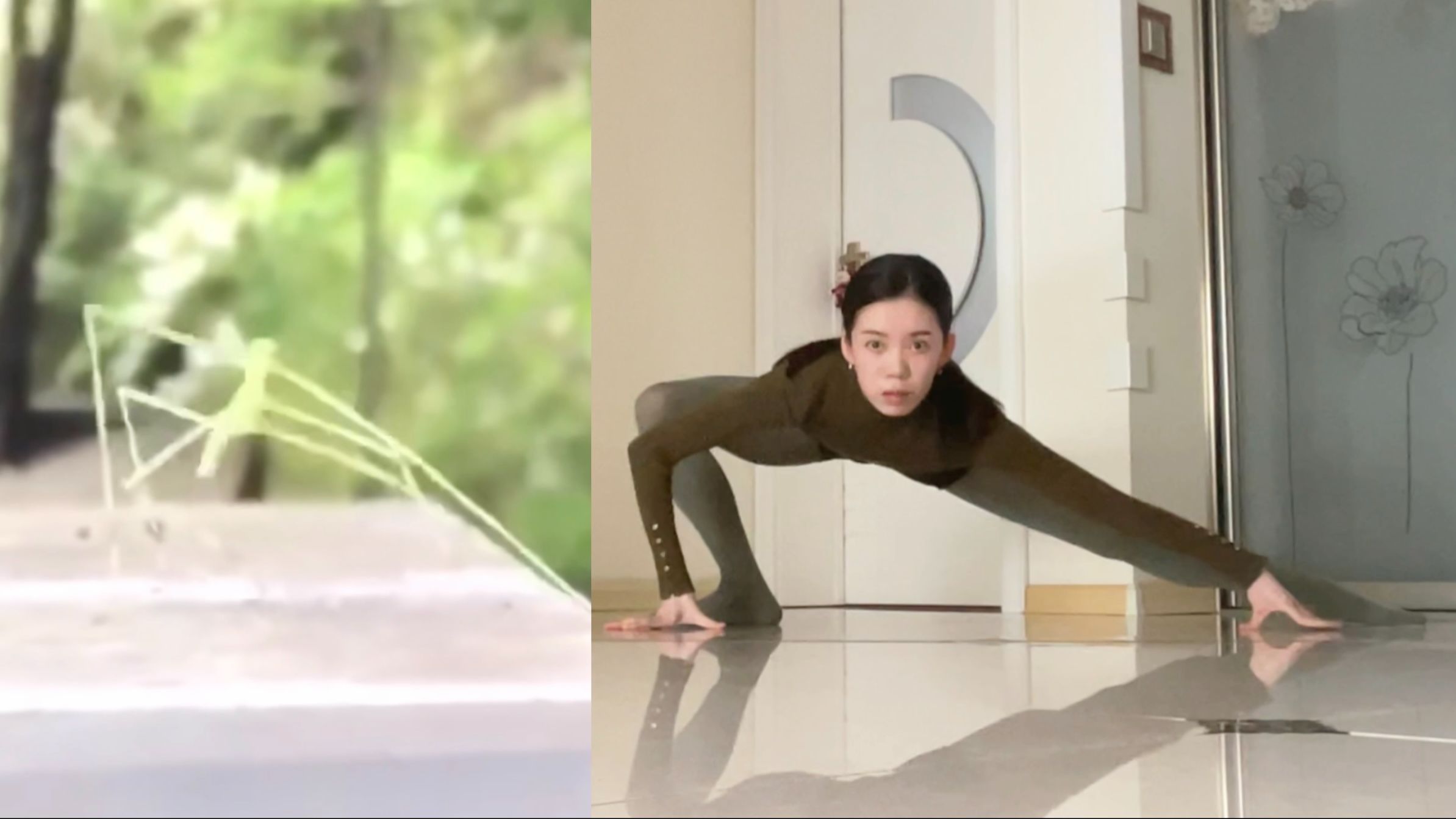 竹 节 人（虫）？