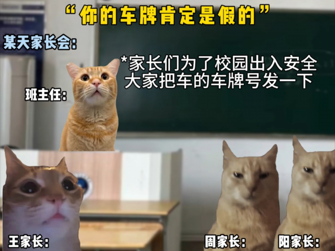 【猫meme】"你的车牌肯定是假的"