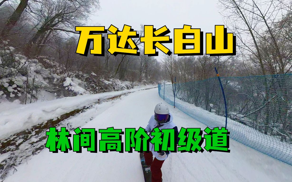 长白山万达滑雪场 3km+林间高阶初级道 统帅+淑女雪道滑行视频哔哩哔哩bilibili