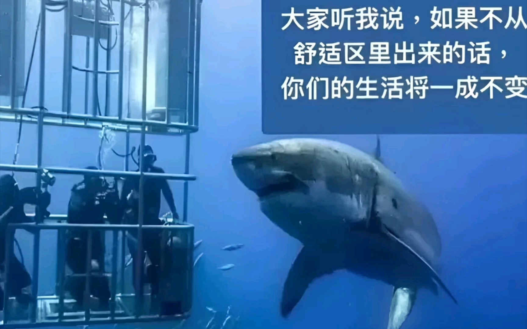 人间真实沙雕梗图