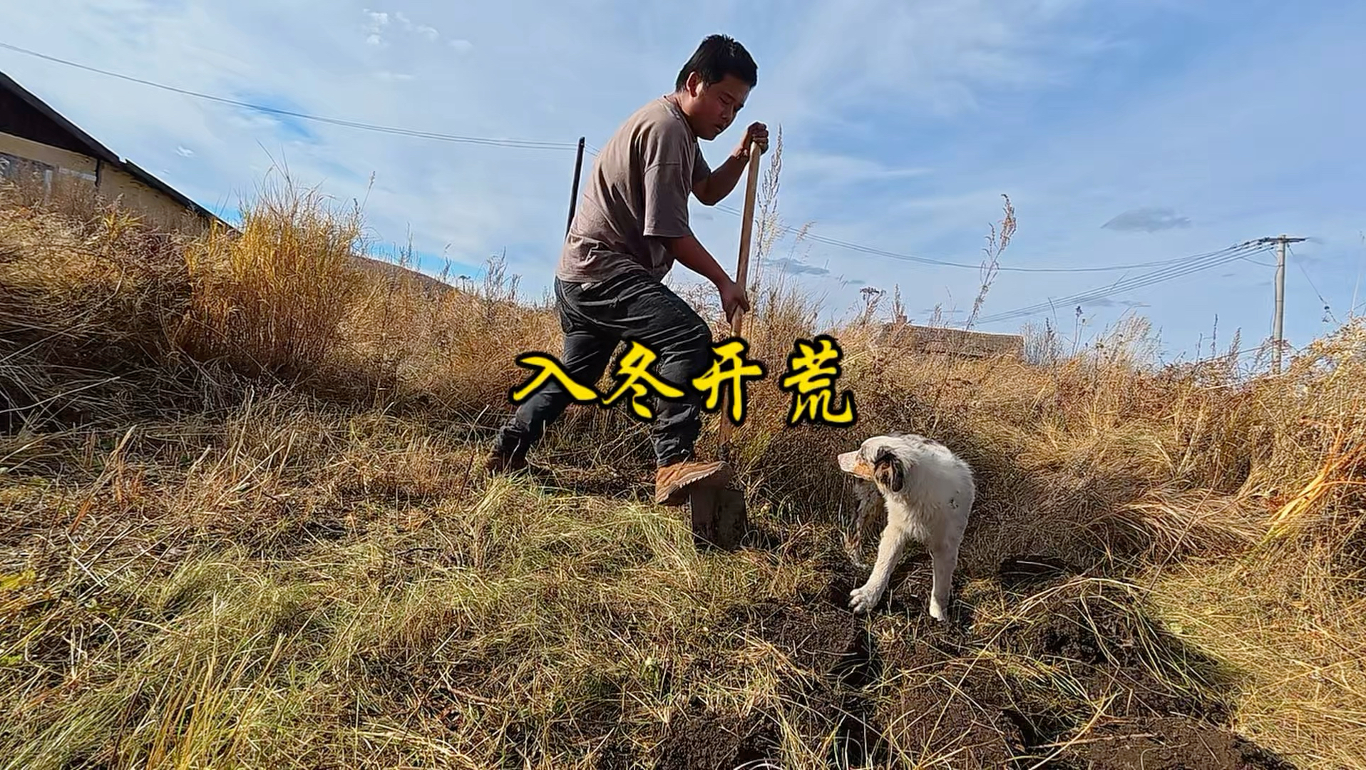 大兴安岭冬季开荒，明年会不会大丰收！