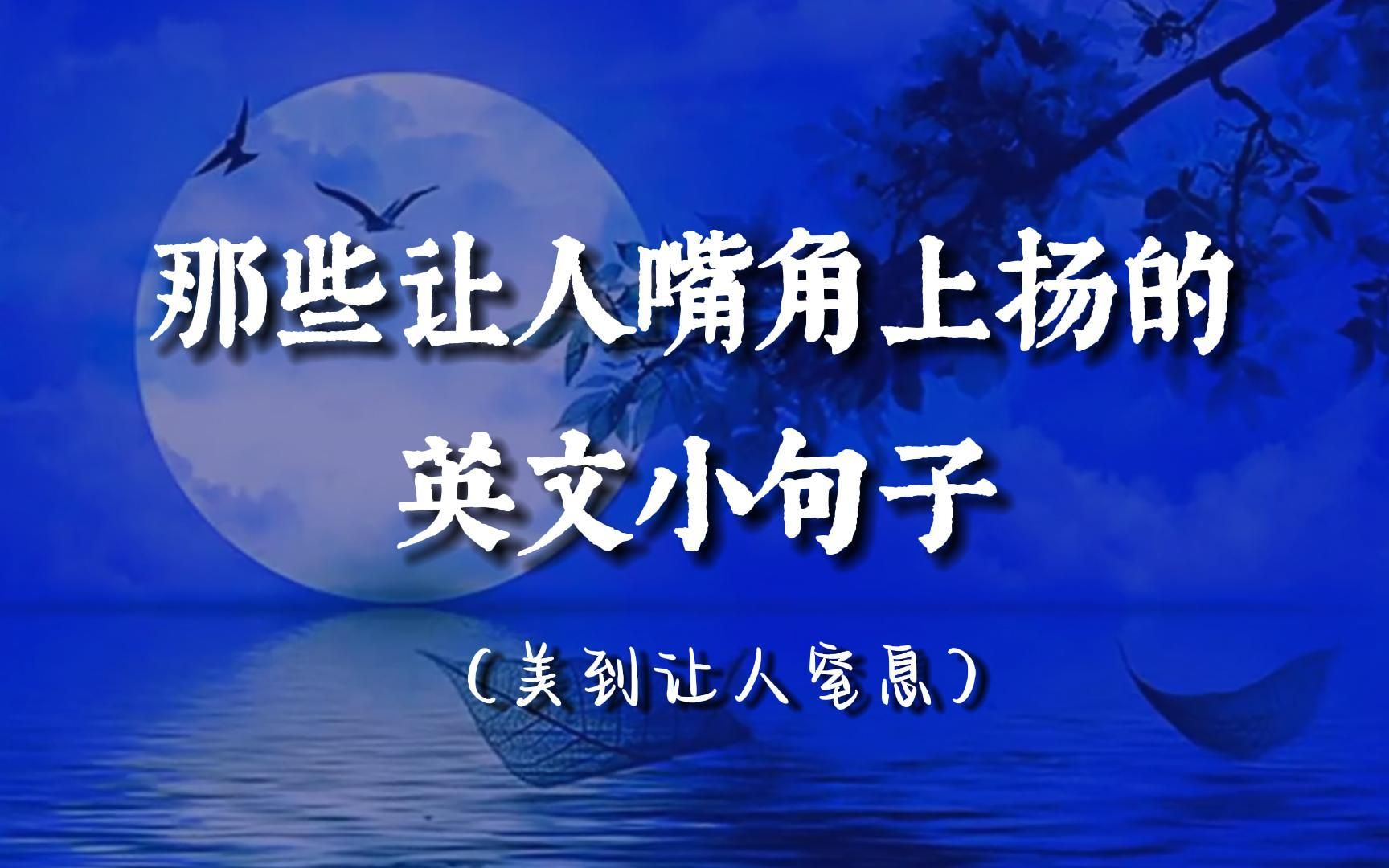 美到让人窒息的治愈英文短句 | 干净温柔励志,很难不爱!(附中文翻译)哔哩哔哩bilibili