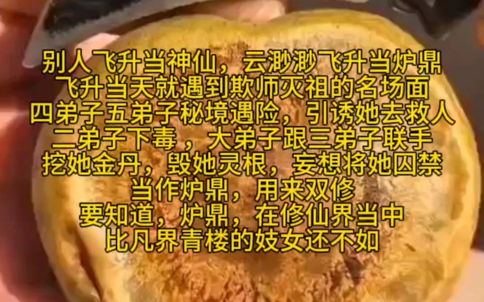 《悲惨渺渺2》哔哩哔哩bilibili