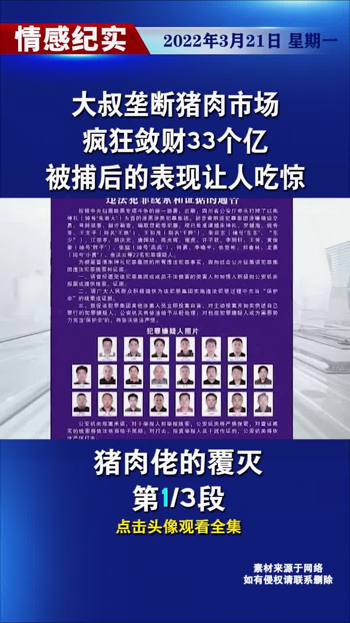 大叔垄断攀枝花猪肉市场,疯狂敛财33个亿,被捕后的表现让人吃惊哔哩哔哩bilibili