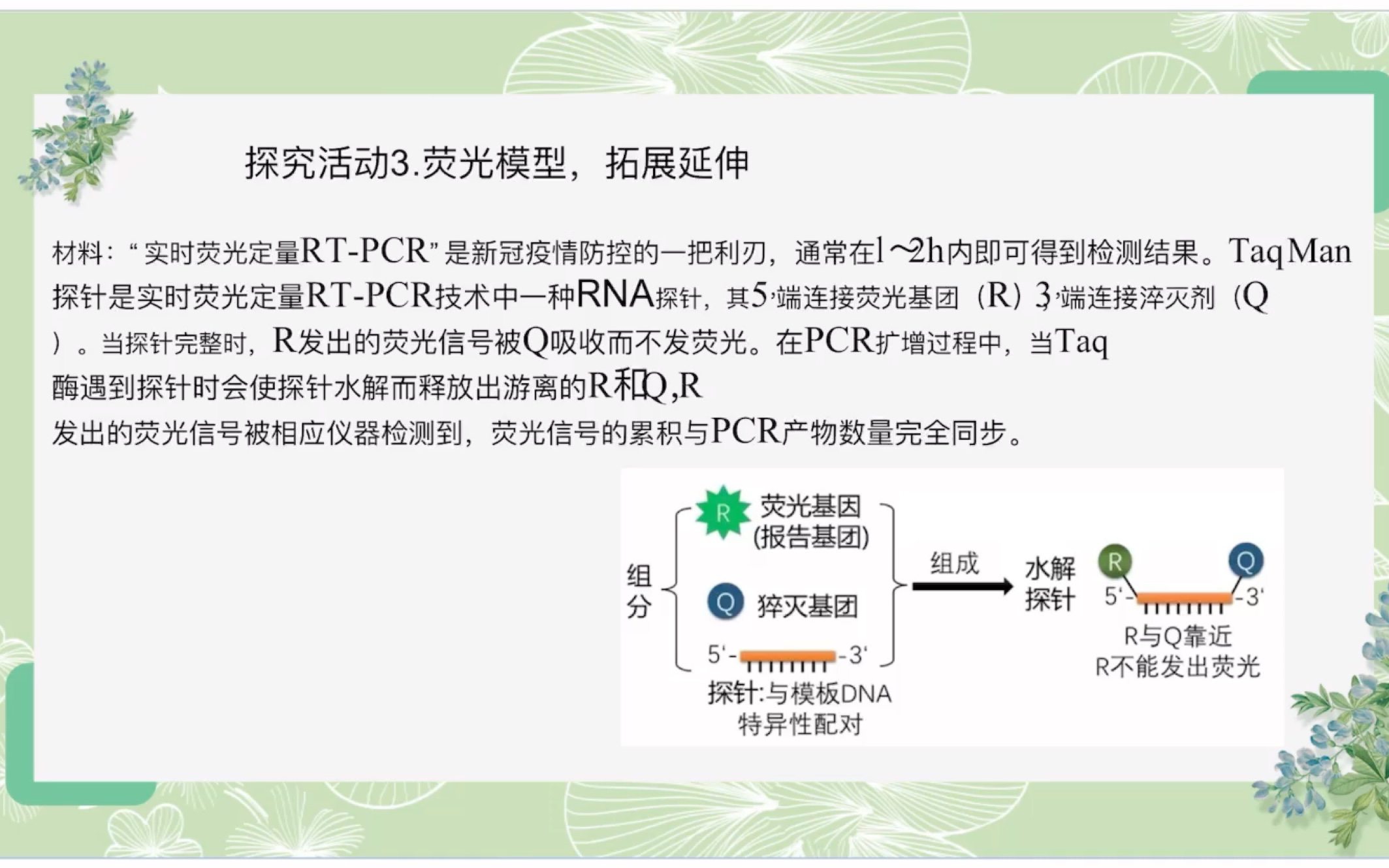 荧光定量RTPCR原理讲解及例题解析哔哩哔哩bilibili