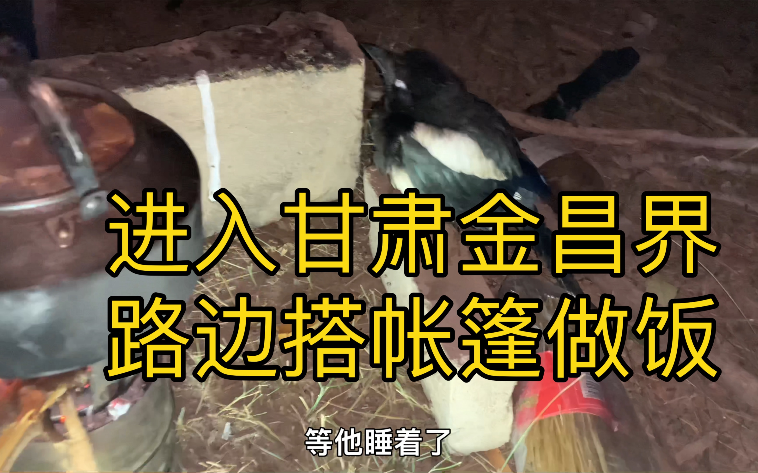 一人一车一猫一喜鹊重装长途骑行去往新疆第87天,经河西走廊到达金昌界哔哩哔哩bilibili