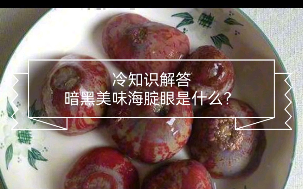 冷知识解答,暗黑美味海腚眼儿是什么?哔哩哔哩bilibili