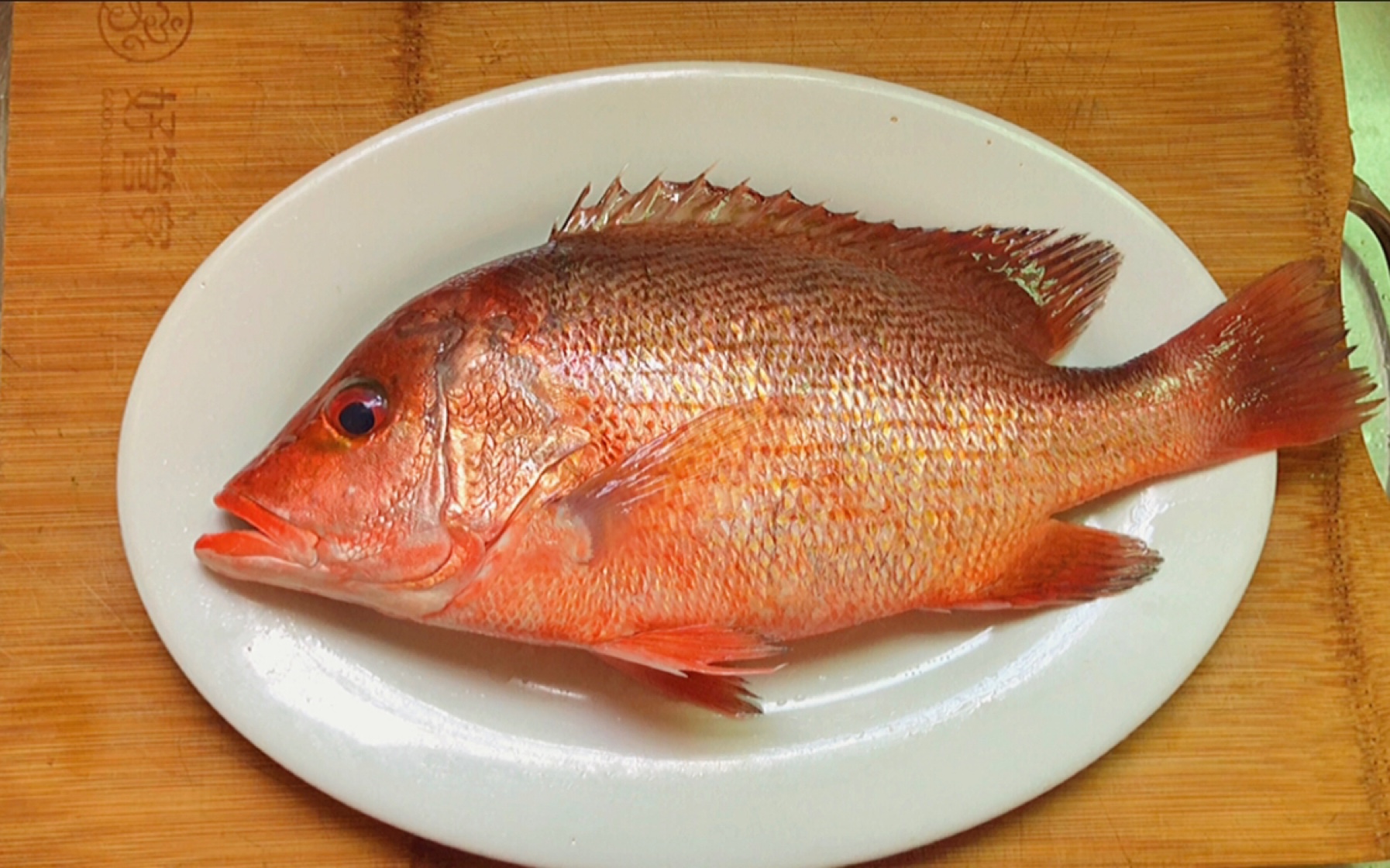 红鲷鱼种类图片