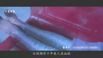 Download Video: 女孩拥有千年美人鱼血脉，一旦接触海水，就能变成漂亮的美人鱼！