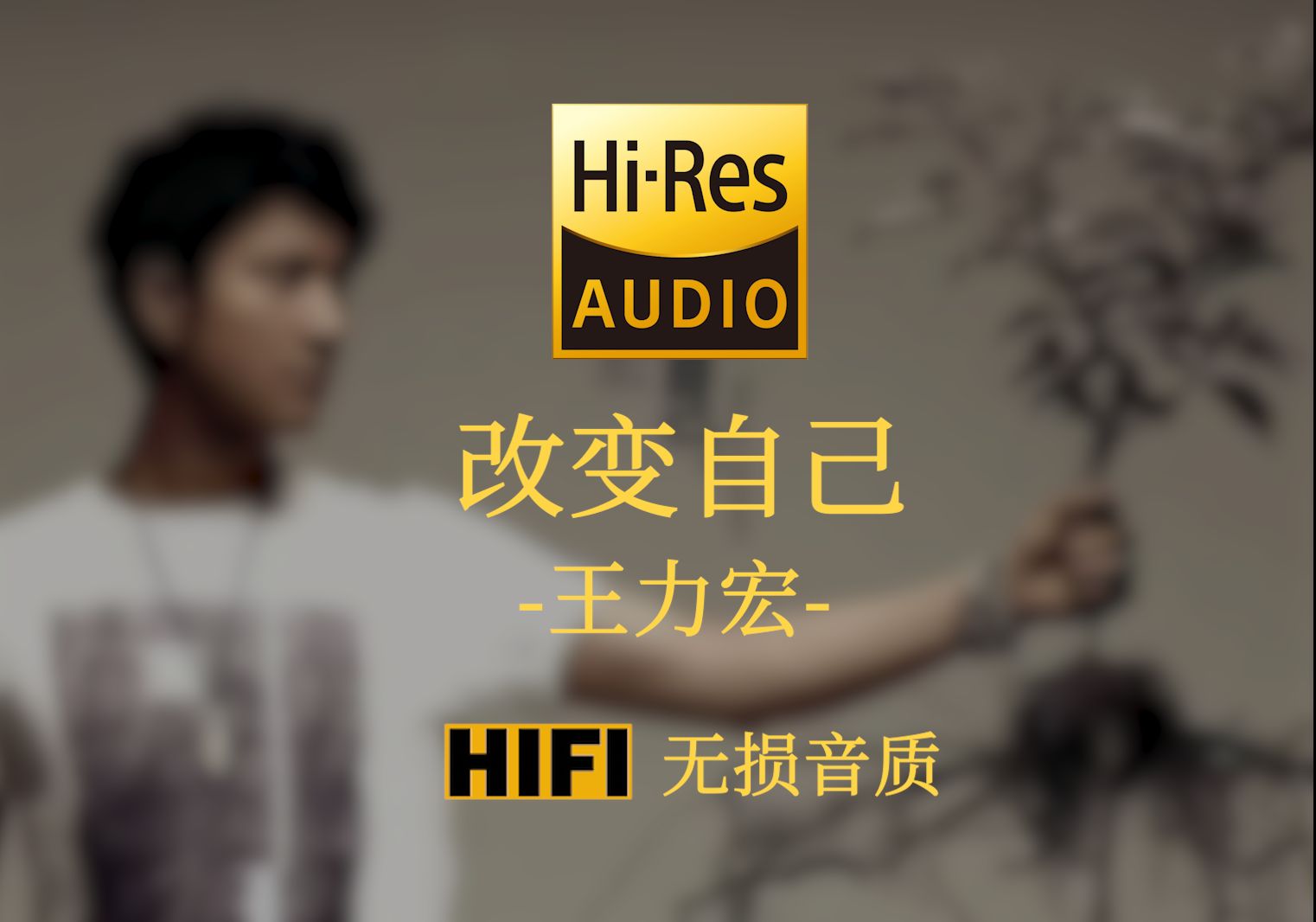 【HiRes无损】《改变自己》王力宏  要一直 努力 努力 永不放弃 才可以改变世界 COME ON 改变自己哔哩哔哩bilibili