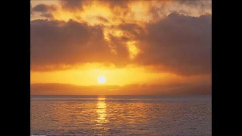 搜索 哔哩哔哩 つロ 干杯 Bilibili