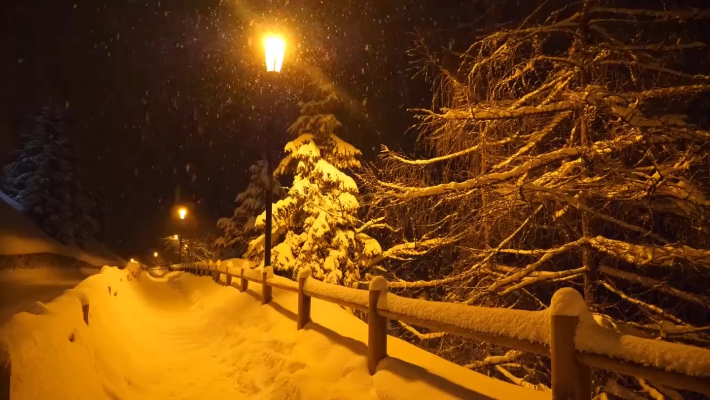 雪夜路灯图片