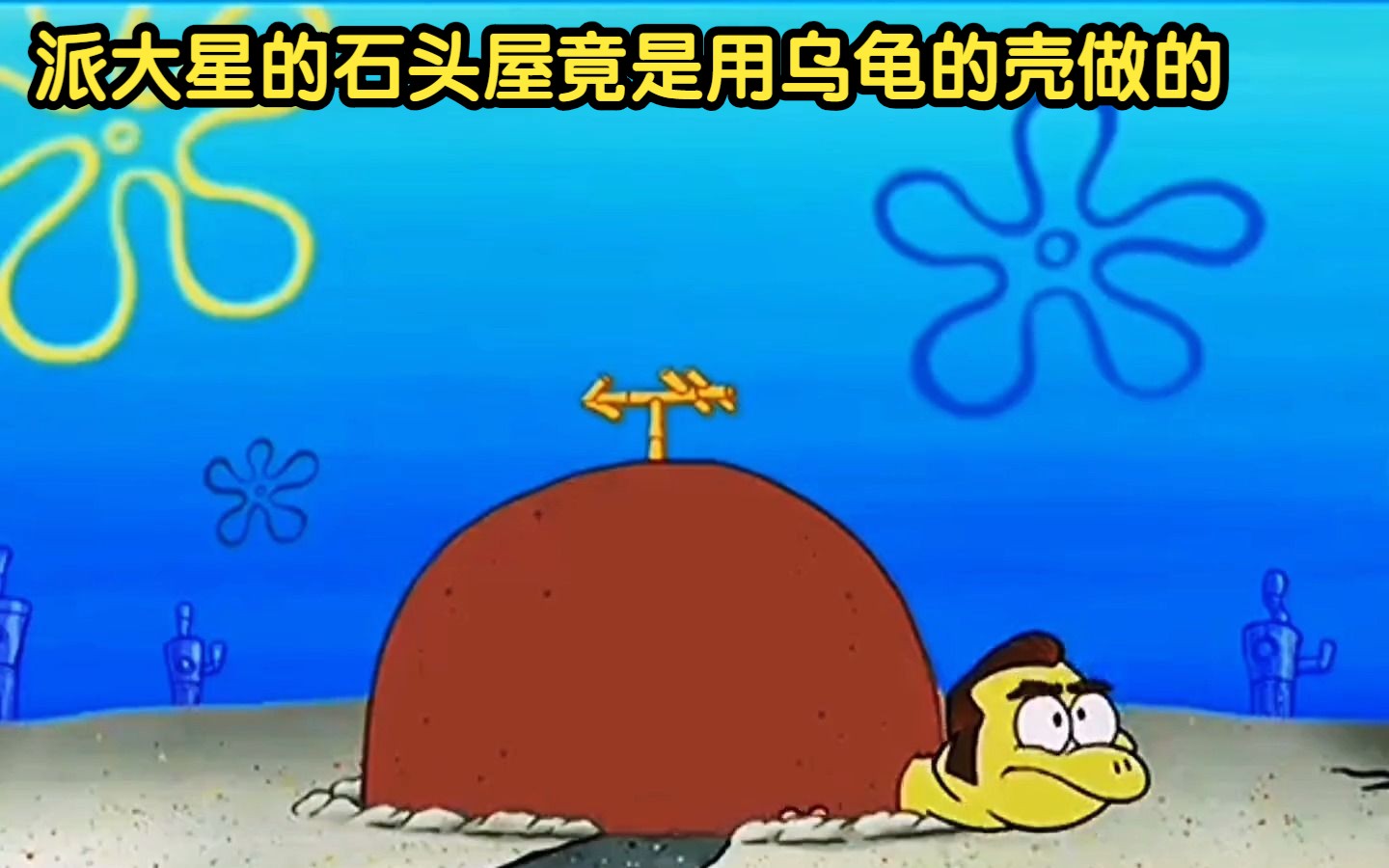 海绵宝宝:派大星的石头屋竟是用乌龟的壳做的,派大星的石头屋乌龟先生